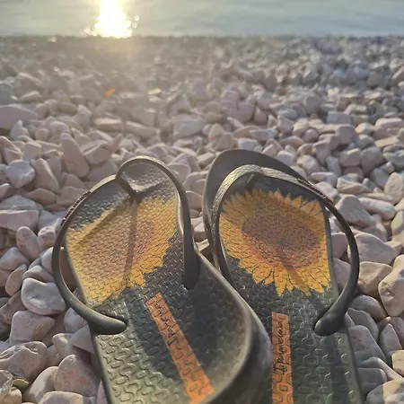 Apartament Jelena - Cozy Two Bedroom Only 70m From The Beach, Diklo - Zadar