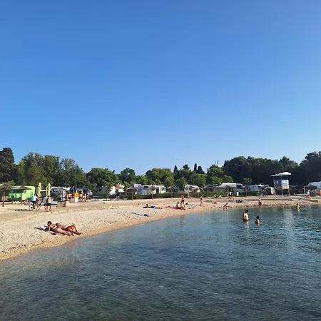 Apartament Jelena - Cozy Two Bedroom Only 70m From The Beach, Diklo - Zadar