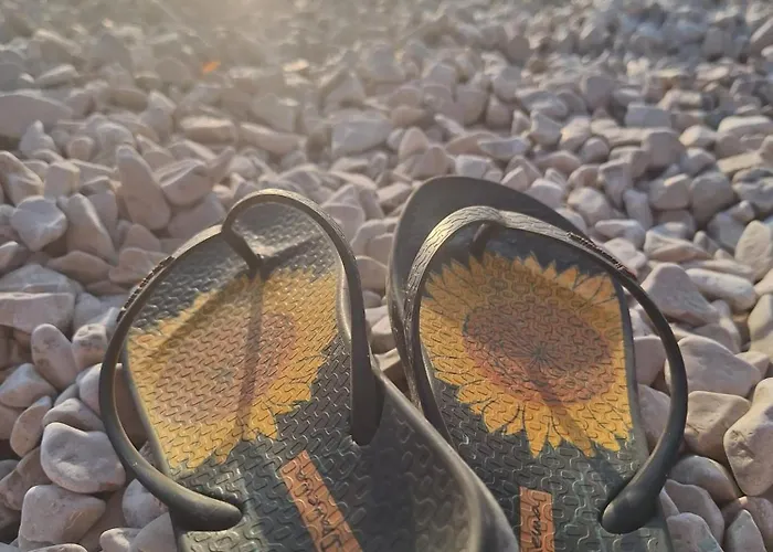 Apartman Jelena - Cozy Two Bedroom Only 70m From The Beach, Diklo - Zadar